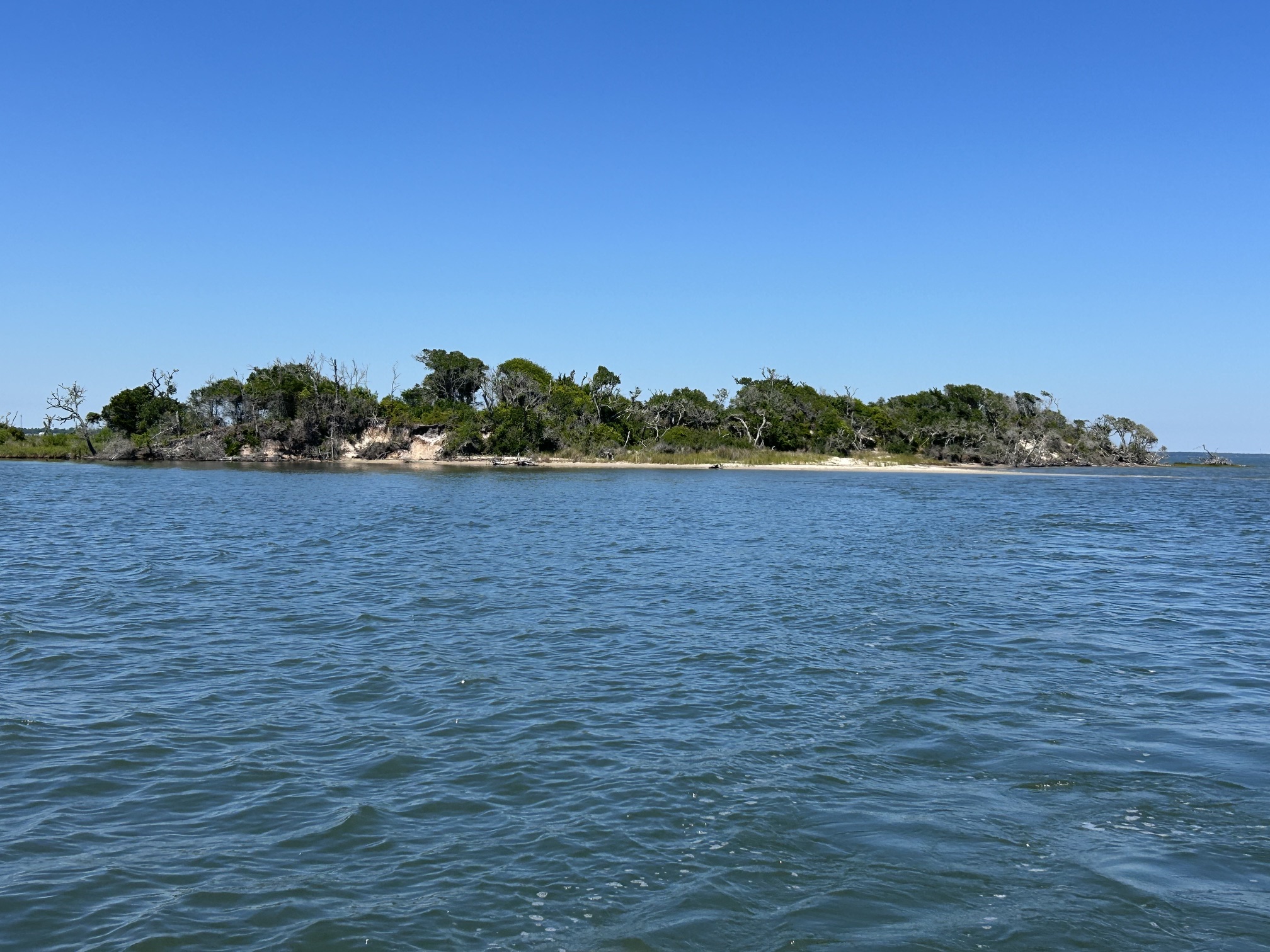 Volunteer habitat restoration effort